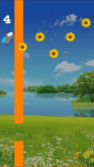 Изображение игры: FlyToHit