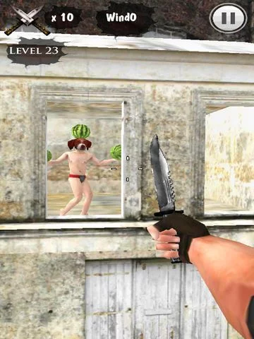 Изображение игры: Throwing Knife King 3D HD Free