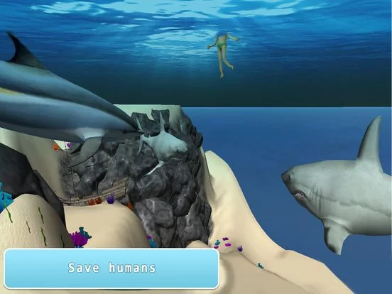 Изображение игры: Sea Dolphin Simulator 3D Full