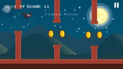 Изображение игры: NinjaZ