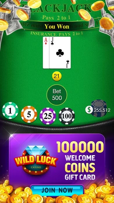 Изображение игры: Blackjack 21⋆ Real Casino