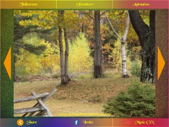 Изображение игры: Picture Show Pro