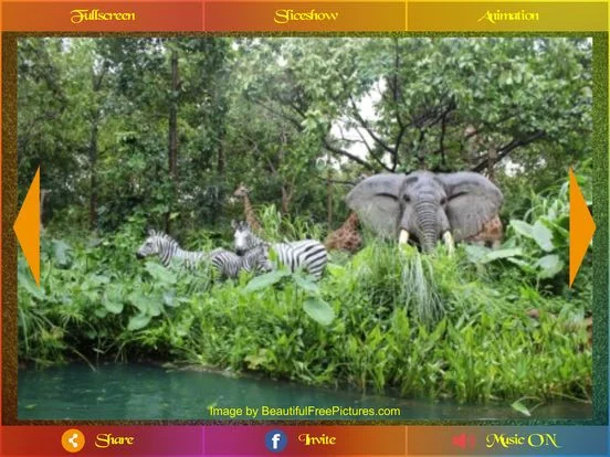 Изображение игры: Picture Show Pro