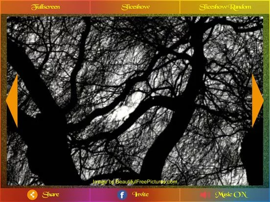 Изображение игры: Beautiful Pictures Pro