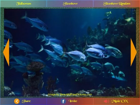 Изображение игры: Beautiful Pictures Pro