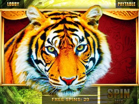 Изображение игры: Slots: Realm of Magic