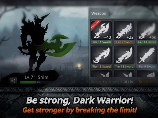 Изображение игры: Dark Sword