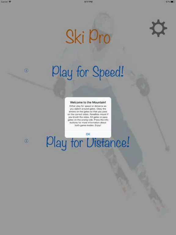 Изображение игры: Ski Pro