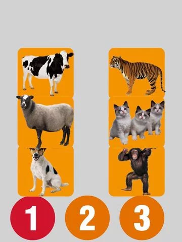 Изображение игры: Animal Audio Pro