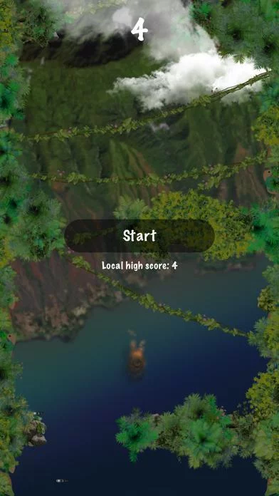 Изображение игры: Hawaii Flight
