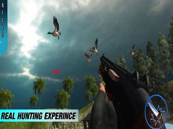 Изображение игры: Duck Shooting Adventures