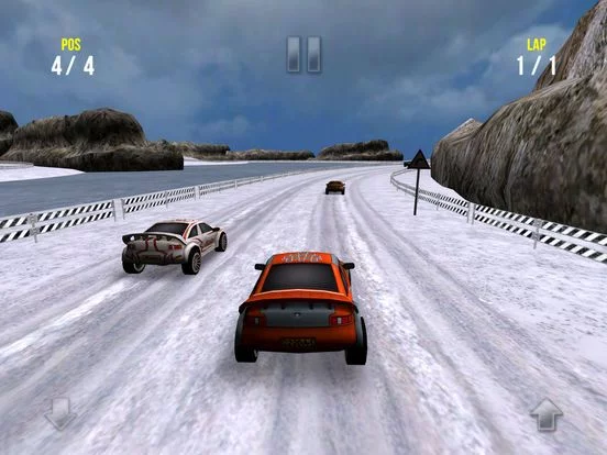 Изображение игры: Racing Pro