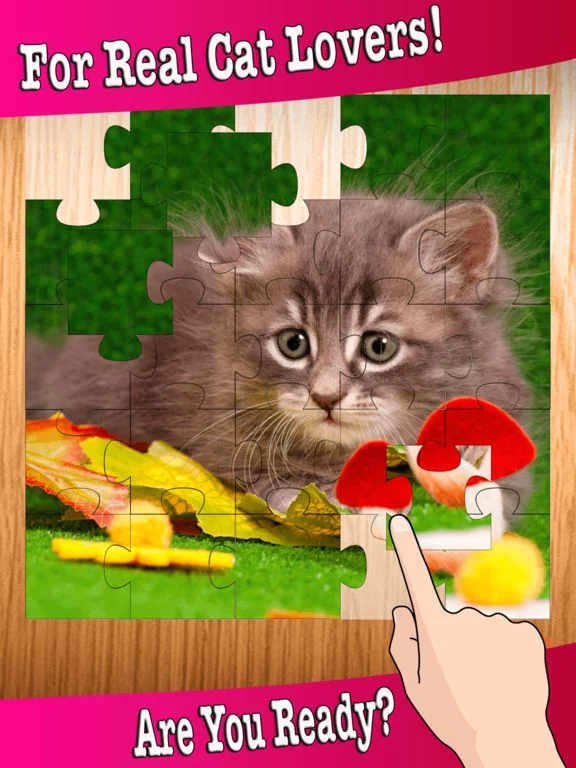 Изображение игры: Kitten Baby Animal Game - Cute Cat Puzzles Jigsaw