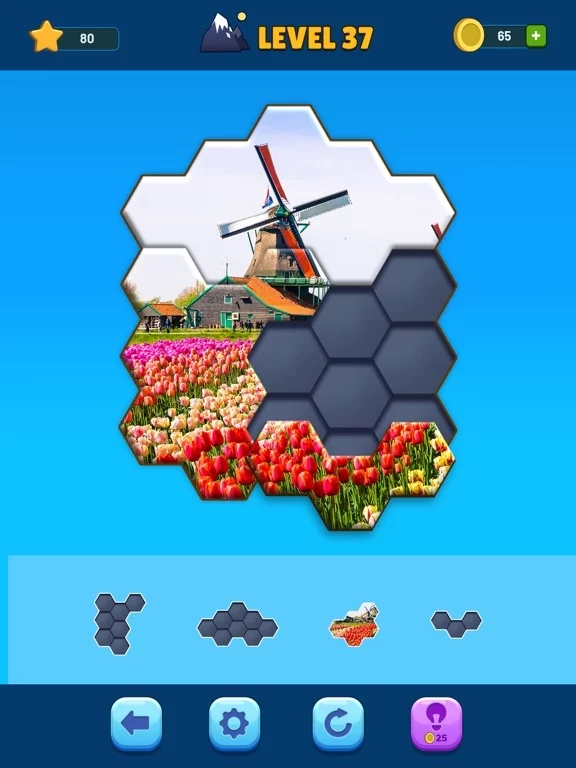 Изображение игры: Hexa Jigsaw Puzzle
