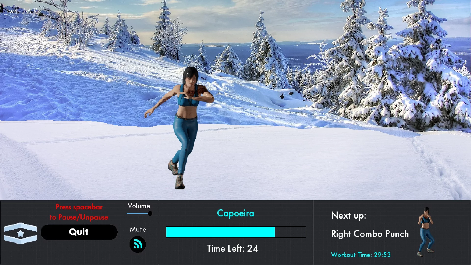 Изображение игры: Boot Camp Fitness