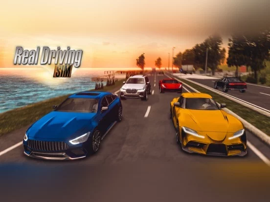 Изображение игры: Real Driving Sim