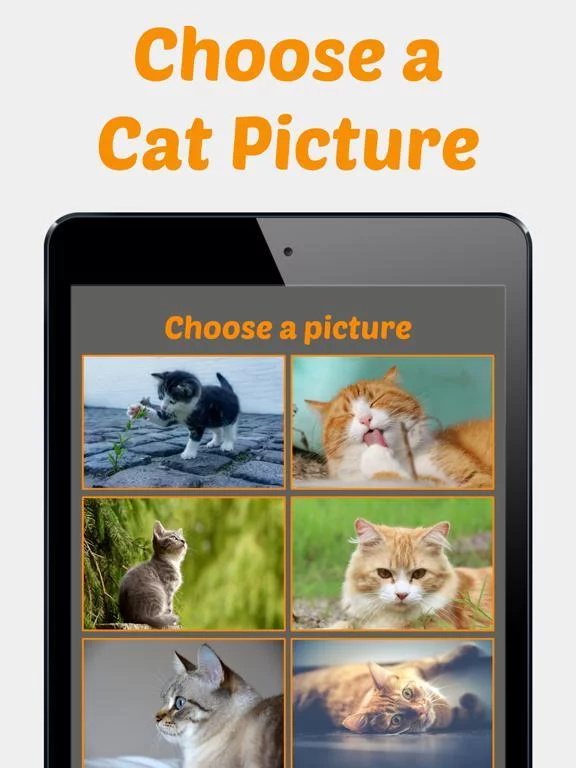 Изображение игры: Cute Kitten Photos Puzzle