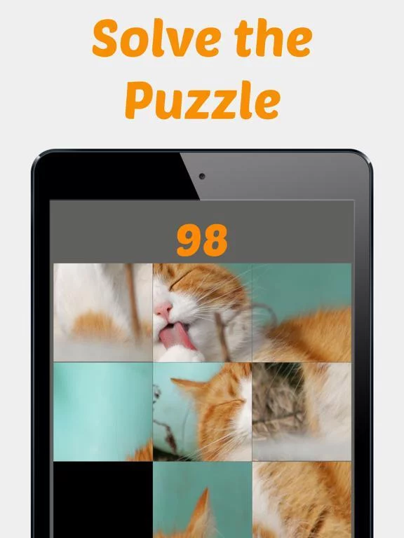 Изображение игры: Cute Kitten Photos Puzzle