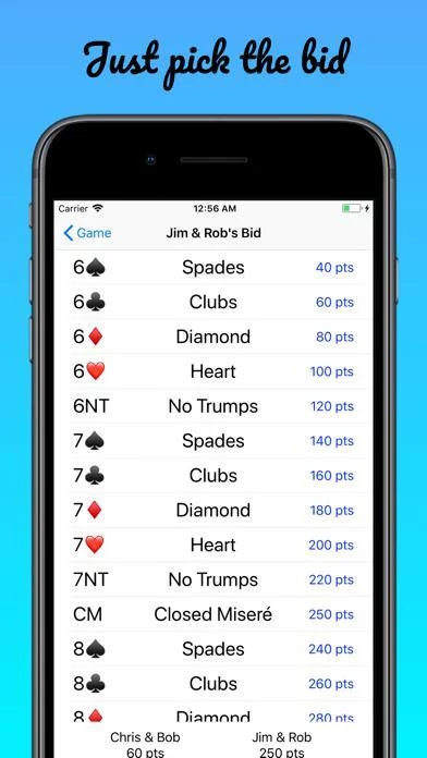 Изображение игры: 500Scoring