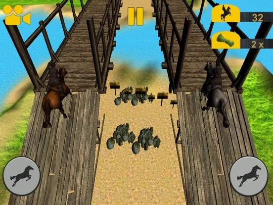Изображение игры: Crazy Horse Racing Champion