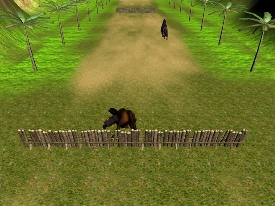 Изображение игры: Crazy Horse Racing Champion