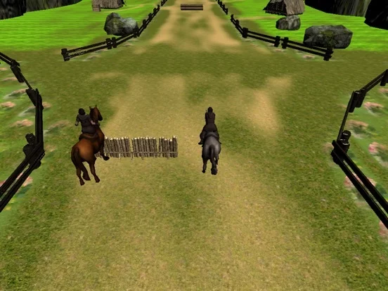 Изображение игры: Crazy Horse Racing Champion