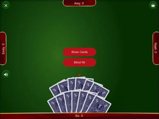 Изображение игры: Spades: Card Game