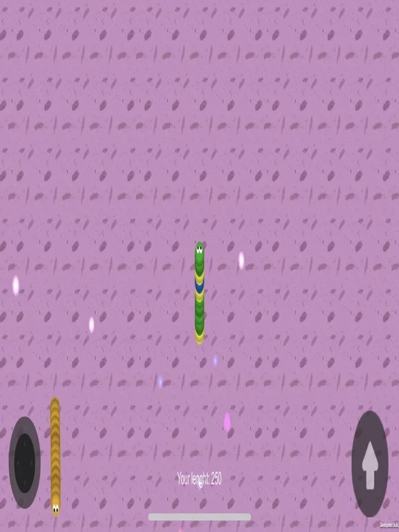 Изображение игры: Snakes Crazy