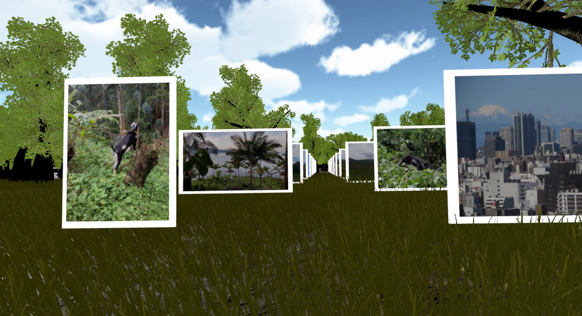Изображение игры: VR Gallery