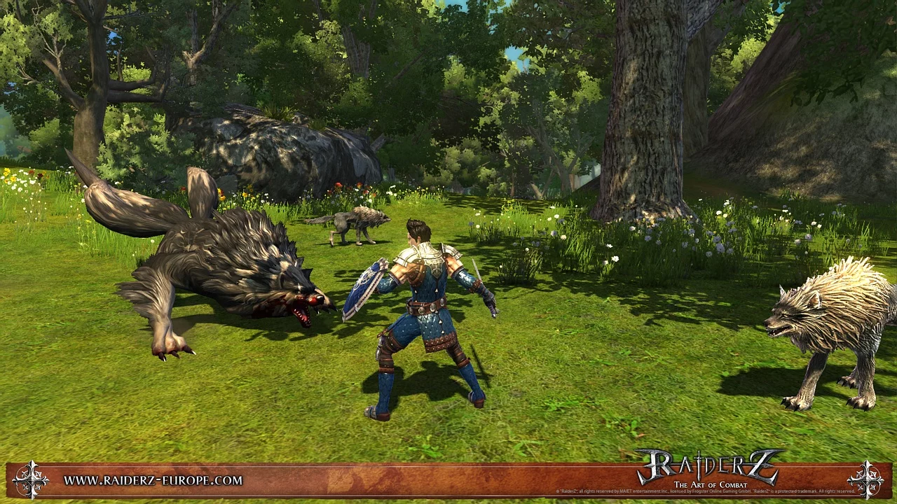 Изображение игры: RaiderZ