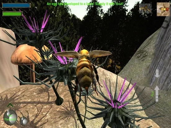Изображение игры: Bee Nest Simulator Full