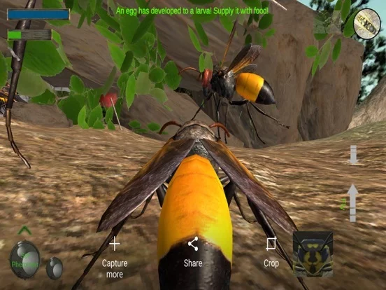 Изображение игры: Wasp Nest Simulation Full