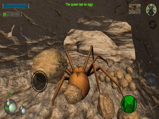 Изображение игры: Spider Colony Simulator