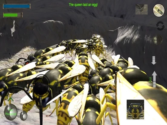 Изображение игры: Wasp Nest Simulation Full