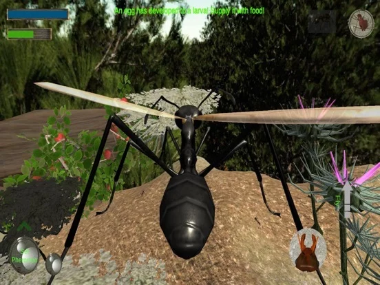 Изображение игры: Ant Simulation 3D Full