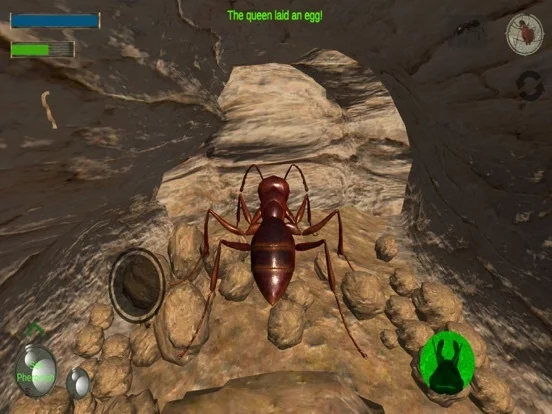 Изображение игры: Ant Simulation 3D Full
