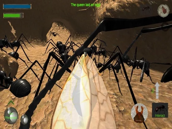 Изображение игры: Ant Simulation 3D Full