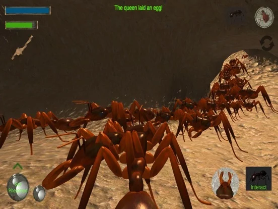 Изображение игры: Ant Simulation 3D Full