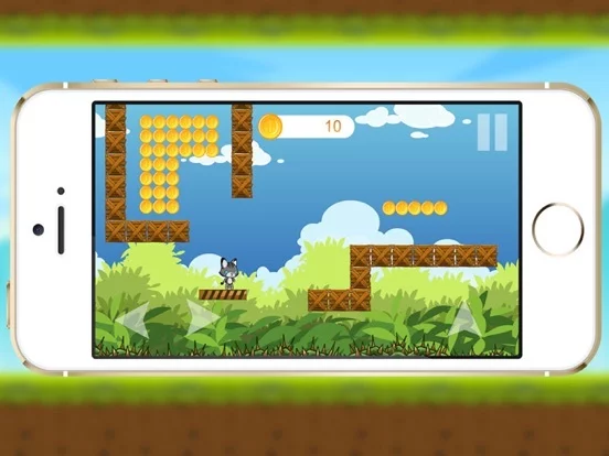 Изображение игры: Brave Cat Adventure