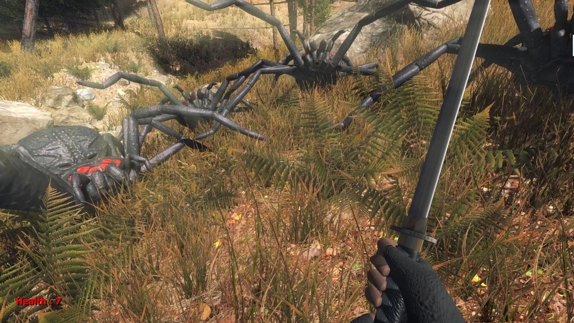 Изображение игры: Forest spiders