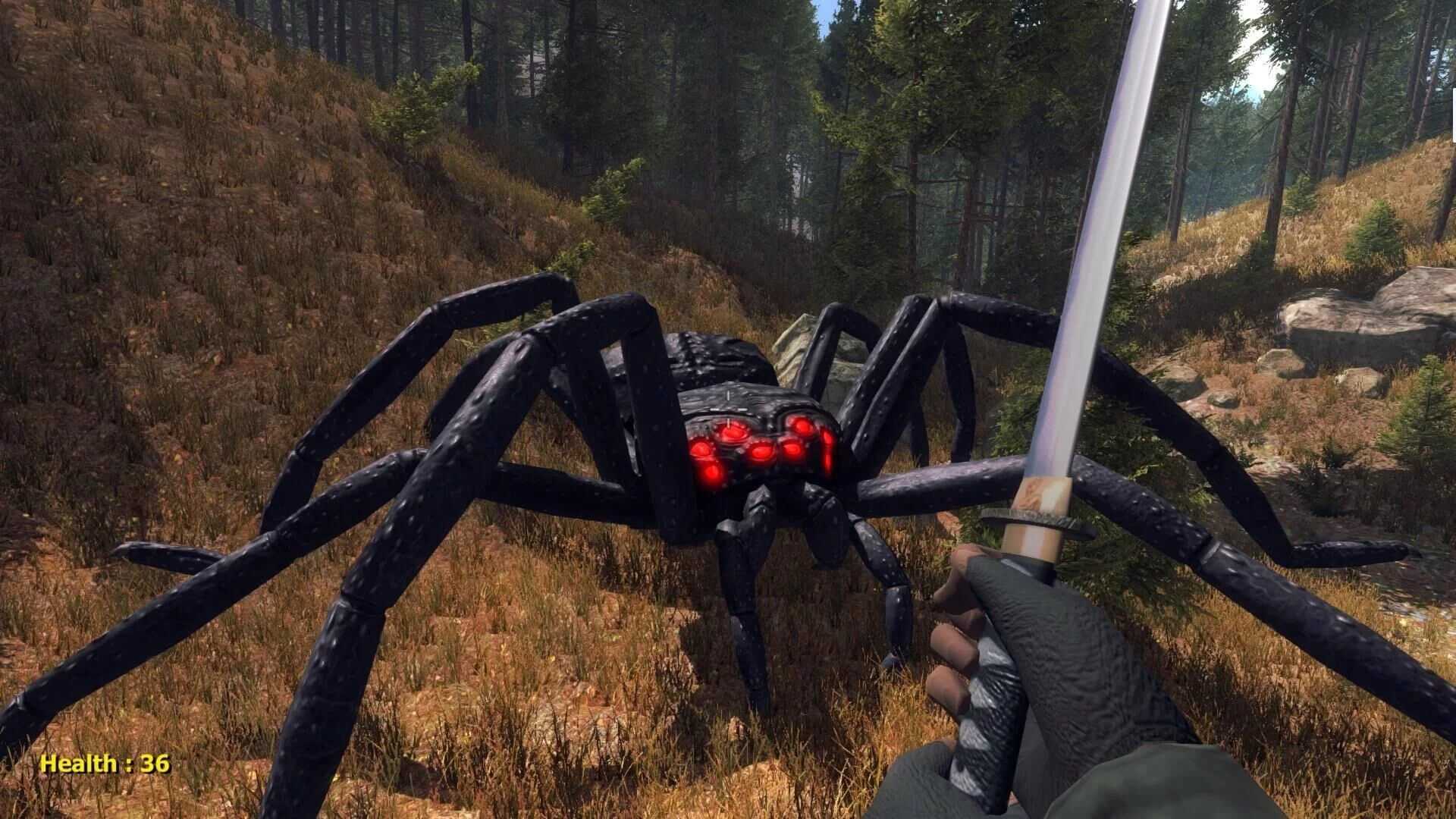 Изображение игры: Forest spiders