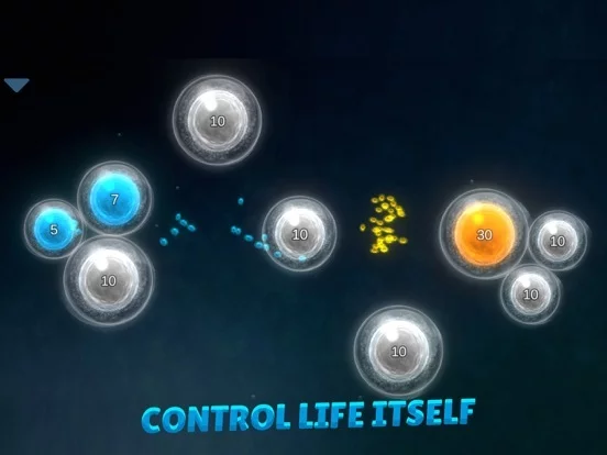 Изображение игры: Biotix 2: Phage Evolution
