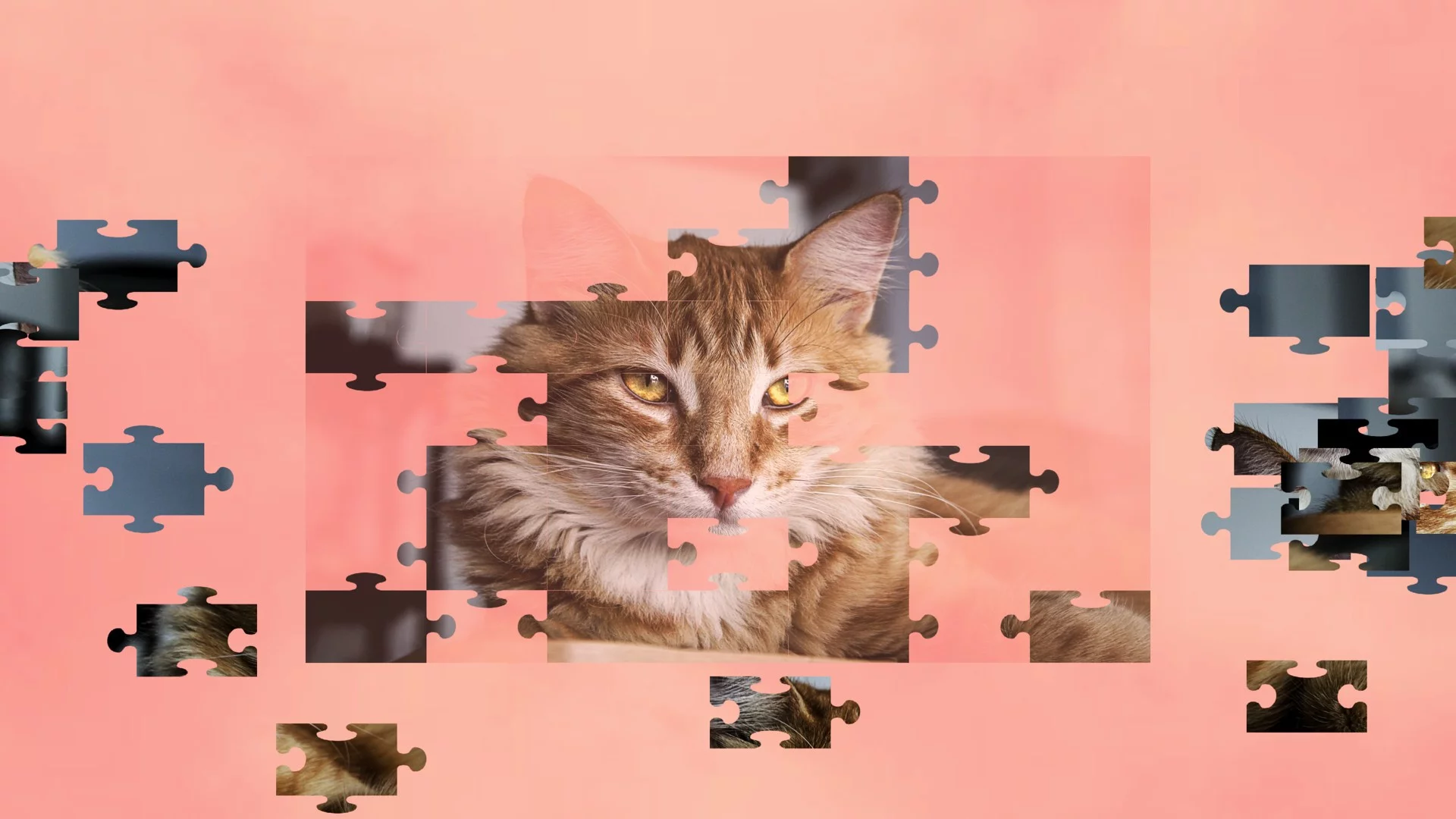 Изображение игры: Jigsaw Puzzle Cats
