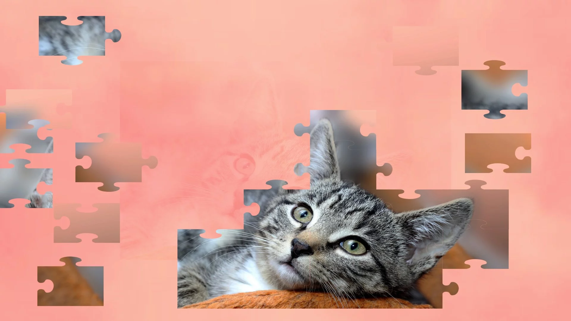 Изображение игры: Jigsaw Puzzle Cats