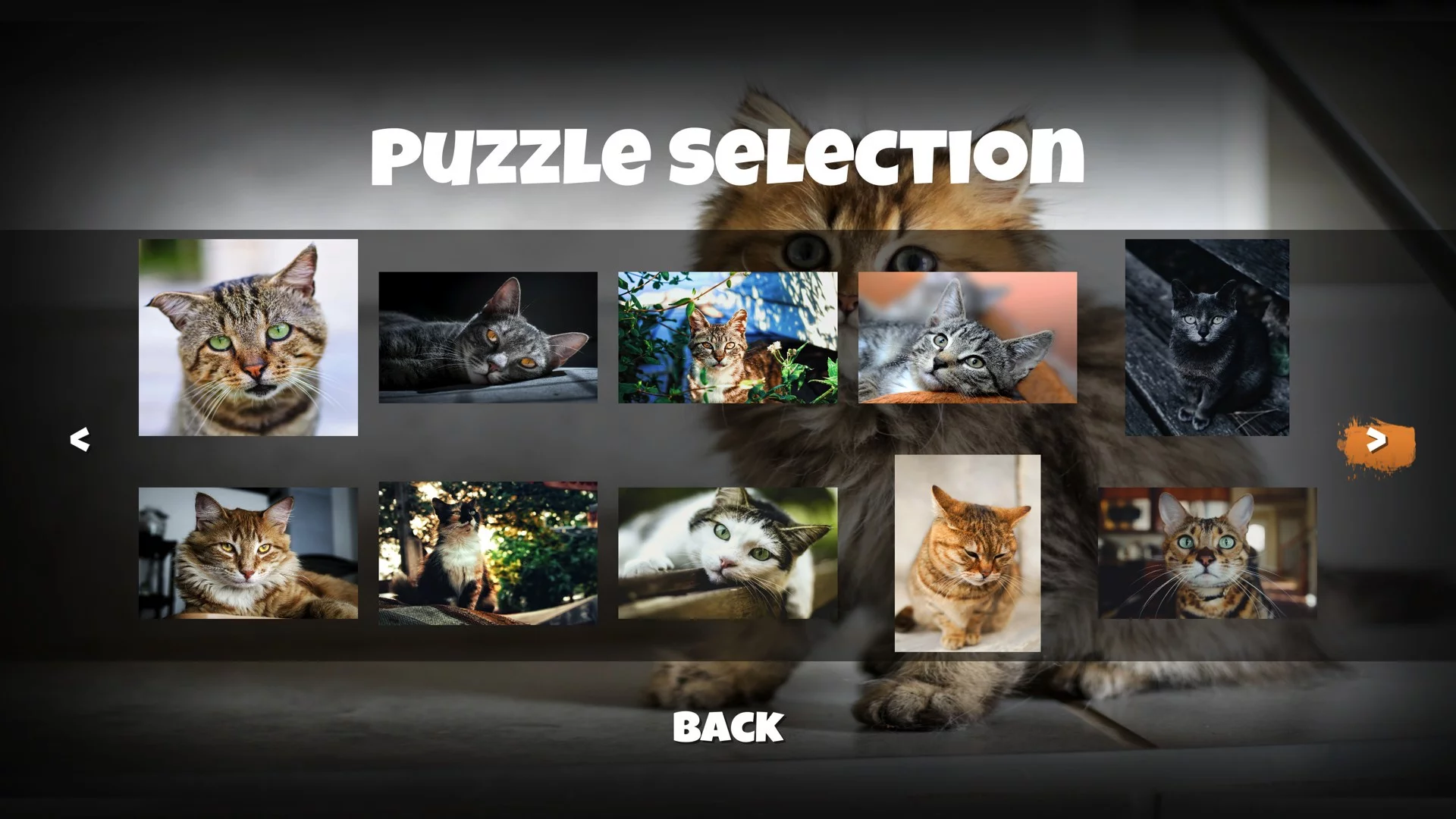 Изображение игры: Jigsaw Puzzle Cats