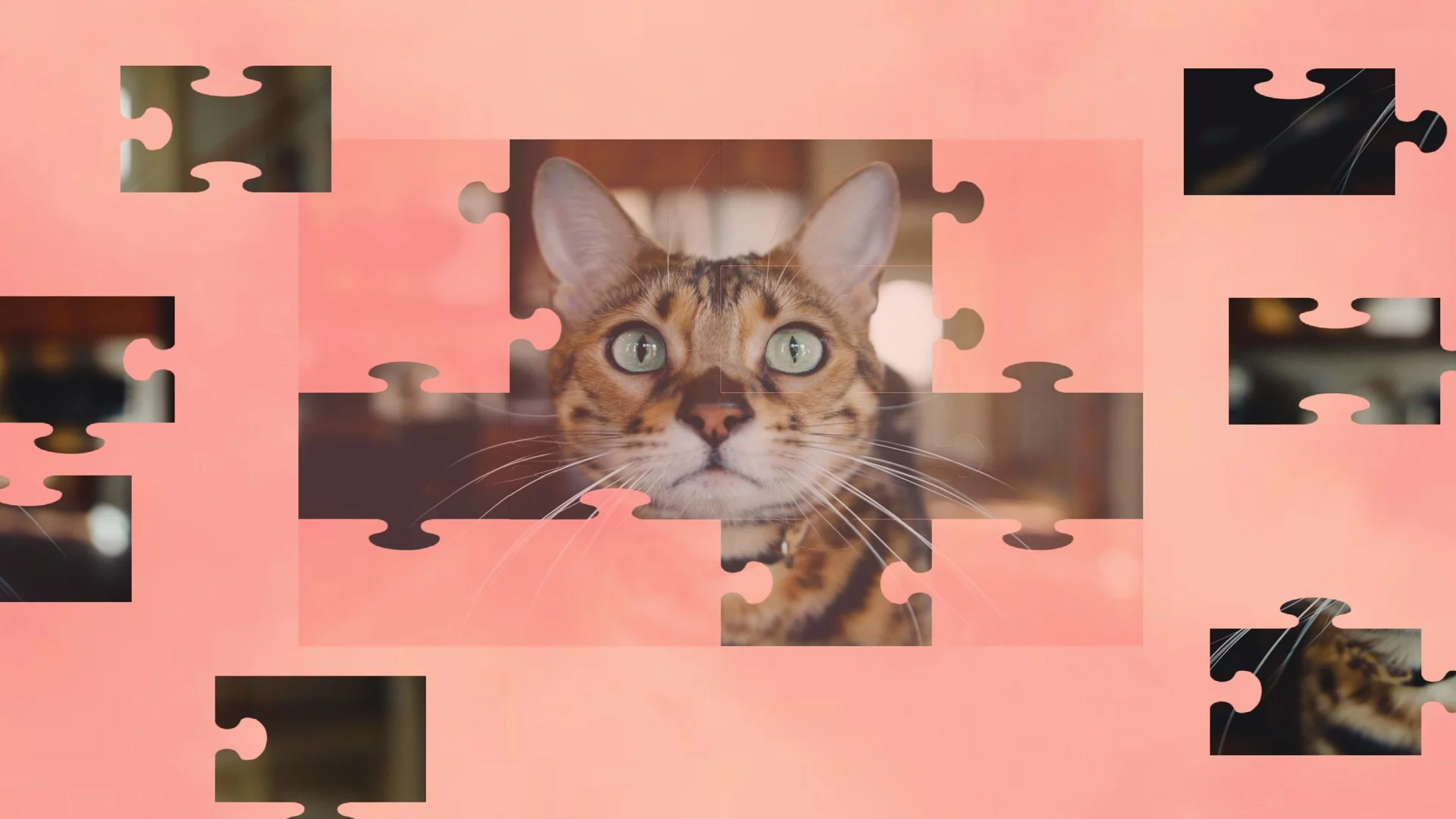 Изображение игры: Jigsaw Puzzle Cats
