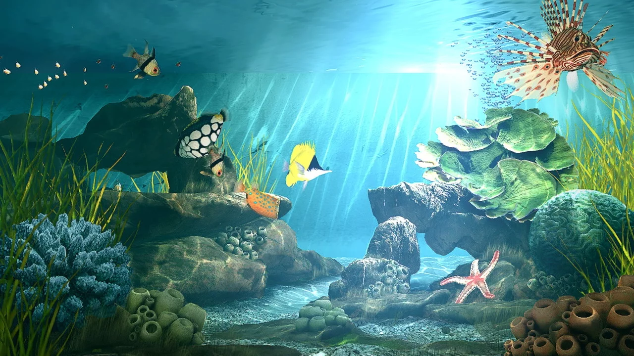 Изображение игры: Aquatopia