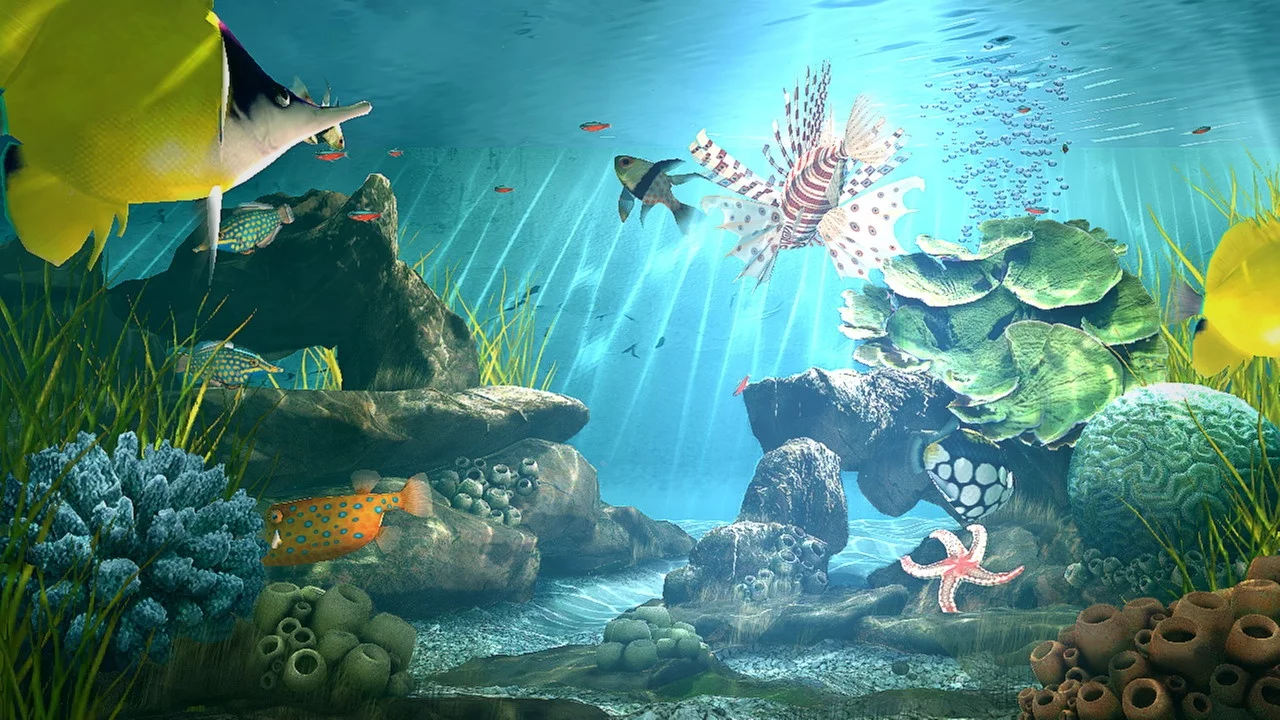 Изображение игры: Aquatopia