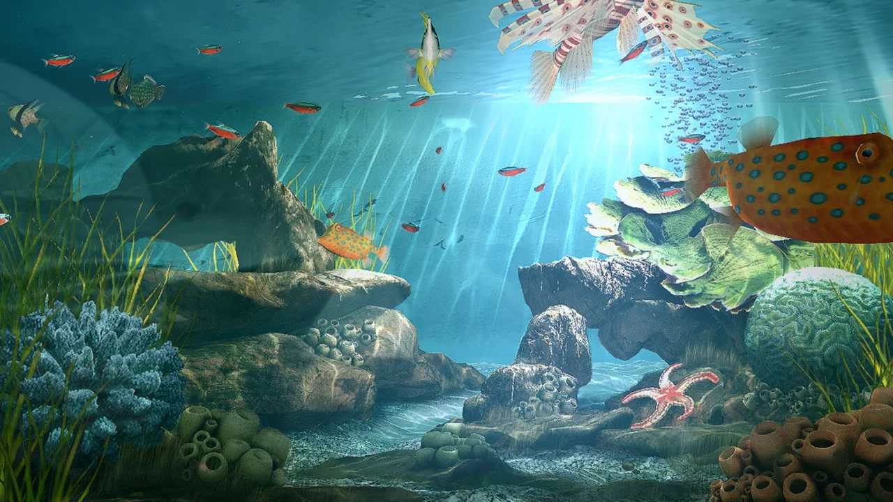 Изображение игры: Aquatopia