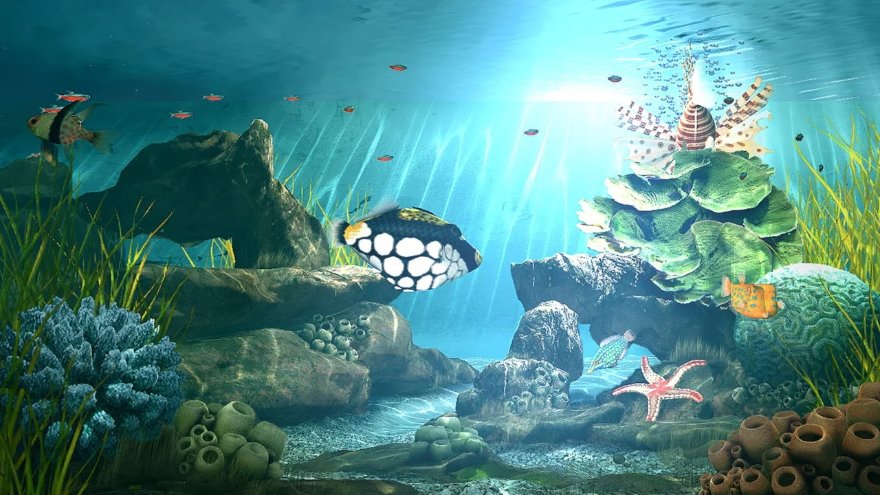 Изображение игры: Aquatopia